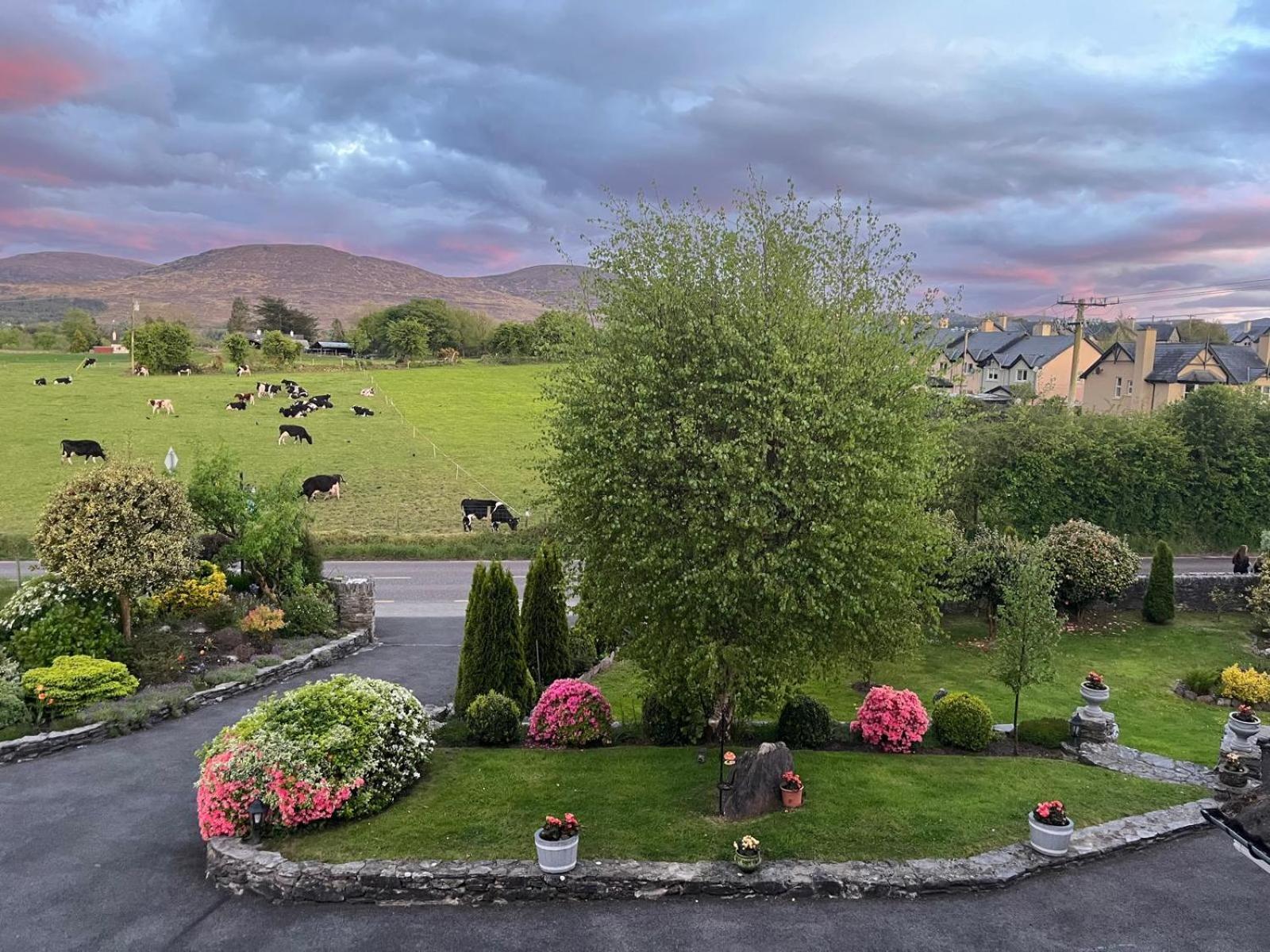 Laburnum B&B Kenmare Exterior photo